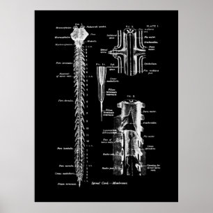 Poster Décor Médicale d'anatomie de la colonne vertébr