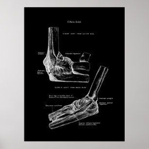 Poster Décor oré orthopédique de l'anatomie du coude