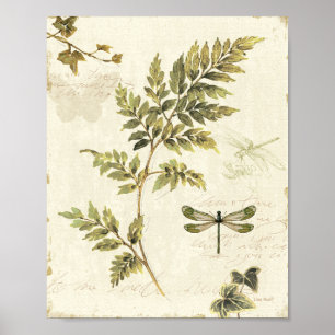 Poster Decorative Ferns and a Dragonfly