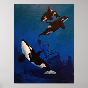 Poster "Découverte" Orca et épave