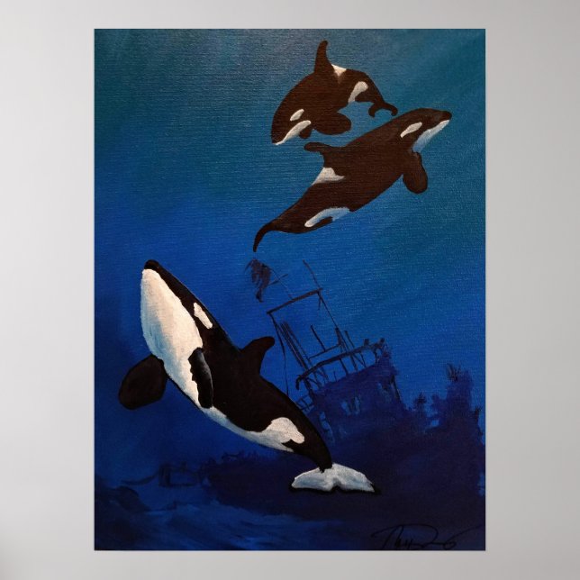 Poster "Découverte" Orca et épave (Devant)