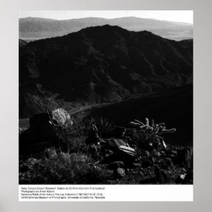 Poster Deep Canyon Desert Research Station par Ansel Adam