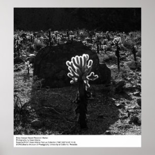 Poster Deep Canyon Desert Research Station par Ansel Adam