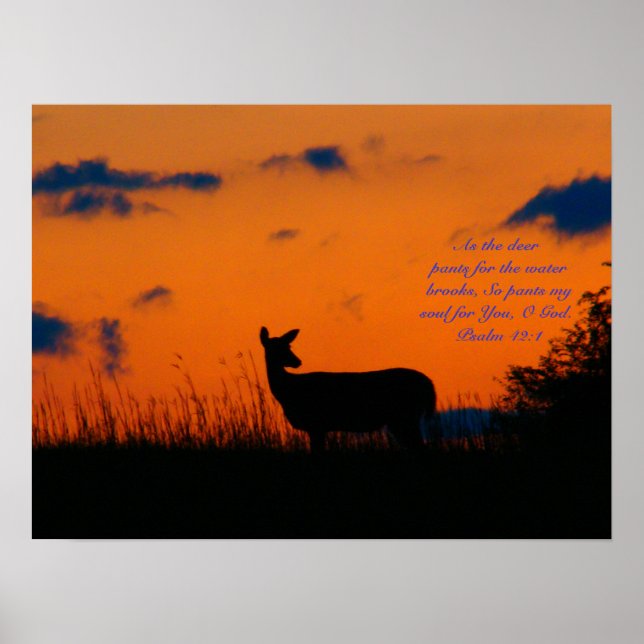 Poster Deer Sunset (Devant)