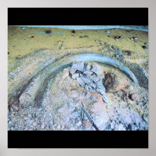 Poster défense gigantesque (2)