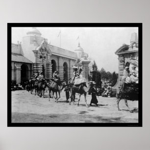 Poster Défilé 1901 de chameau d'expo de Pan Am