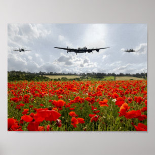 Poster Défilé aérien de pavot