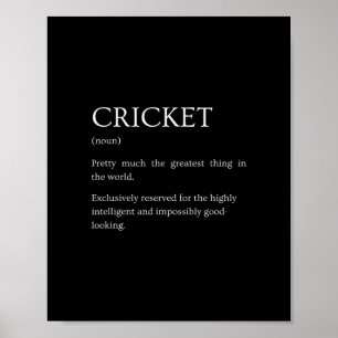 Poster Définition de cricket - Explication drôle sarcasti