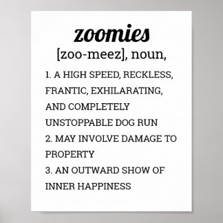 POSTER DÉFINITION DES ZOOMIES
