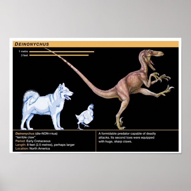 Poster Deinonychus - Biology Jurassic Dinosaur (Devant)