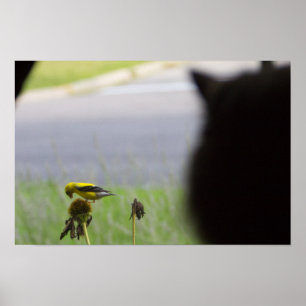 Poster Déjeuner potentiel - Chat et Oiseau