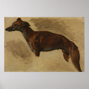 Poster Delacroix - Lévrier Vraisemblablement 1859