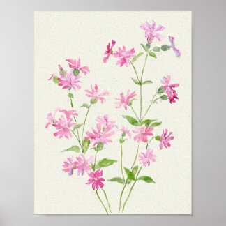 Poster délicate couleur rose-rose rouge des fleurs de cam