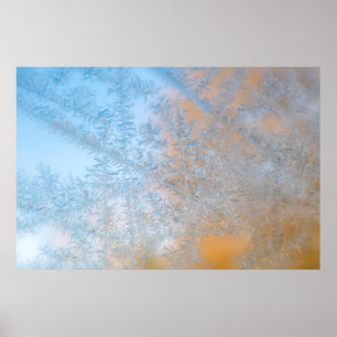 Poster Delicate frost pattern