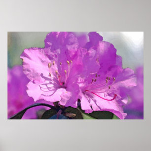 Poster Délicieux Lavande