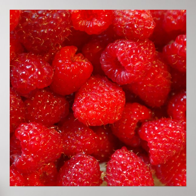 Poster Délicieux mignon photo de framboise rose foncé (Devant)