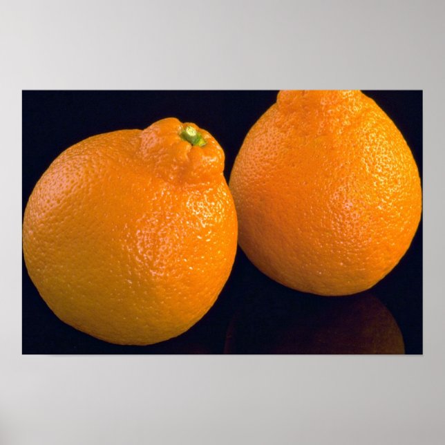 Poster Délicieux Tangerines (Devant)