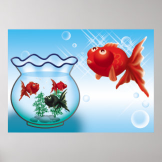 Poster Demekin -Telescope Goldfish-