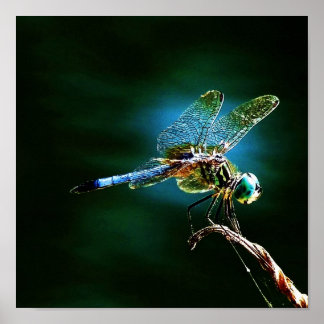 Poster Déménagement rapide tout en restant debout