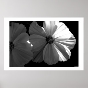 Poster Demi-soleil noir et blanc