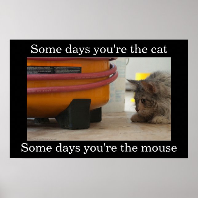 Poster démotivant pour chat et souris (Devant)