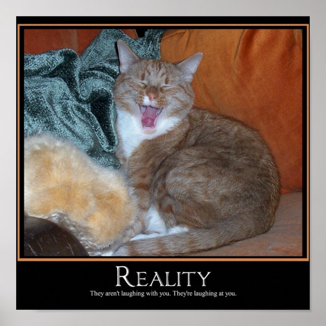 Poster Démotivateur de chat (Devant)