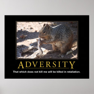 Poster démotivationnel : Adversité