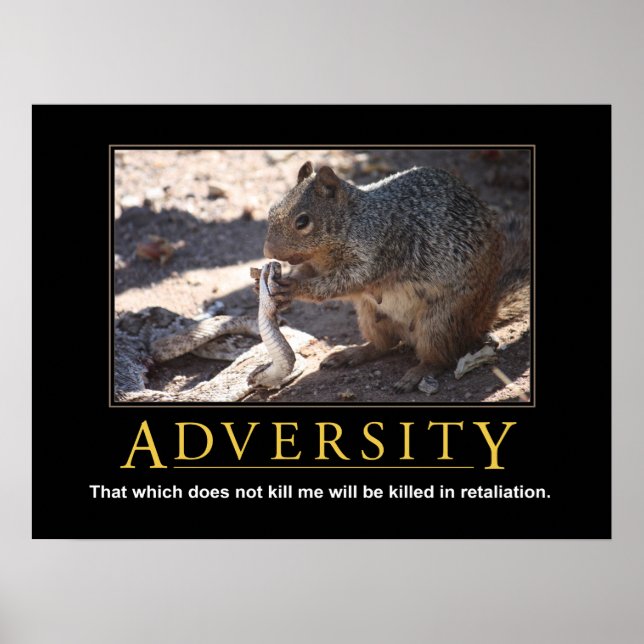 Poster démotivationnel : Adversité (Devant)