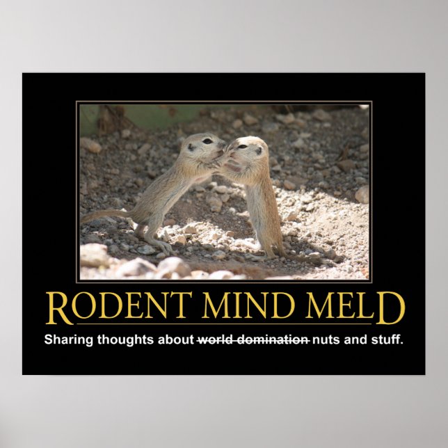 Poster démotivationnel : Squirrel Mind Meld (Devant)