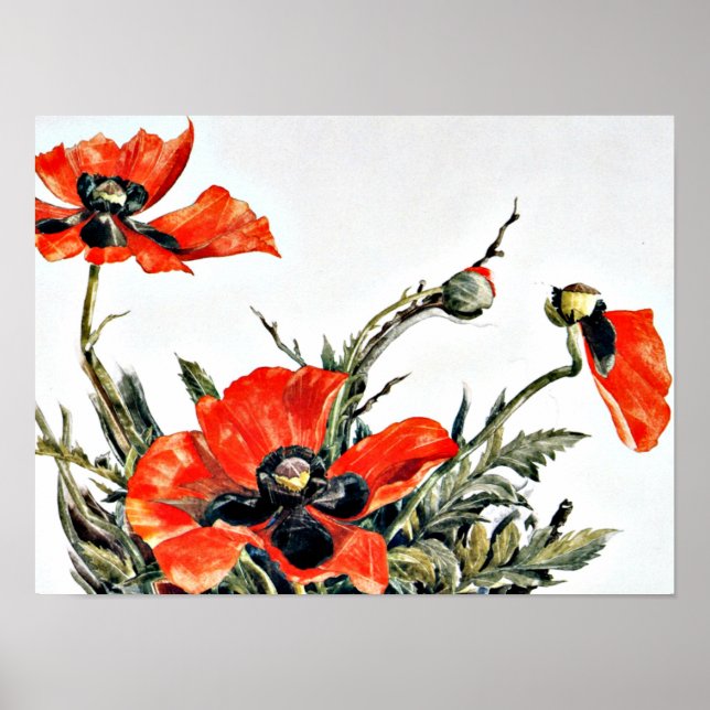 Poster Demuth - Poppies rouges, peinture populaire (Devant)