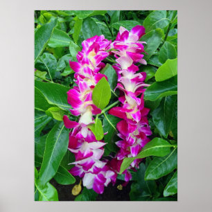 Poster Dendrobium Orchid Lei