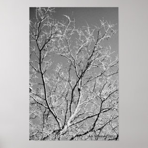 Poster Dentelle d'arbre par E.A. Schneider
