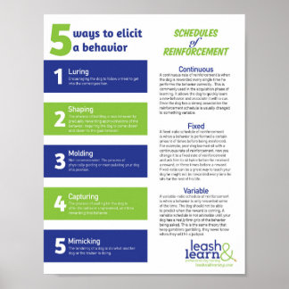 Poster d'entraînement de chien