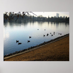Poster Denver City Park