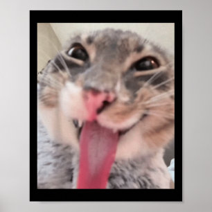 Poster Derpy Tongue Chat Sortir Mème Drôle Weirdcore M'Of