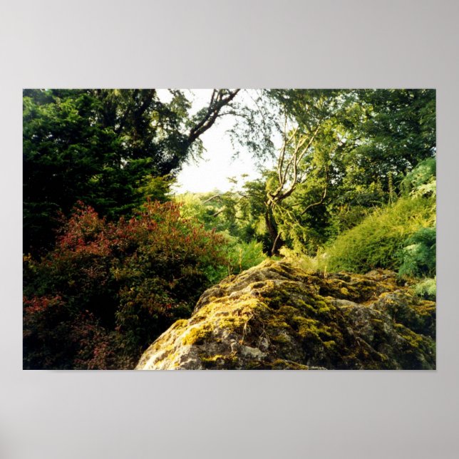 Poster Derrière Blarney (Devant)