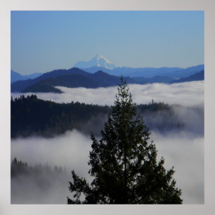 Poster Derrière l'arbre....