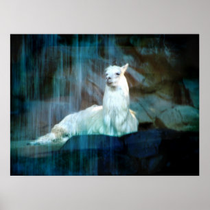 Poster Derrière les automnes