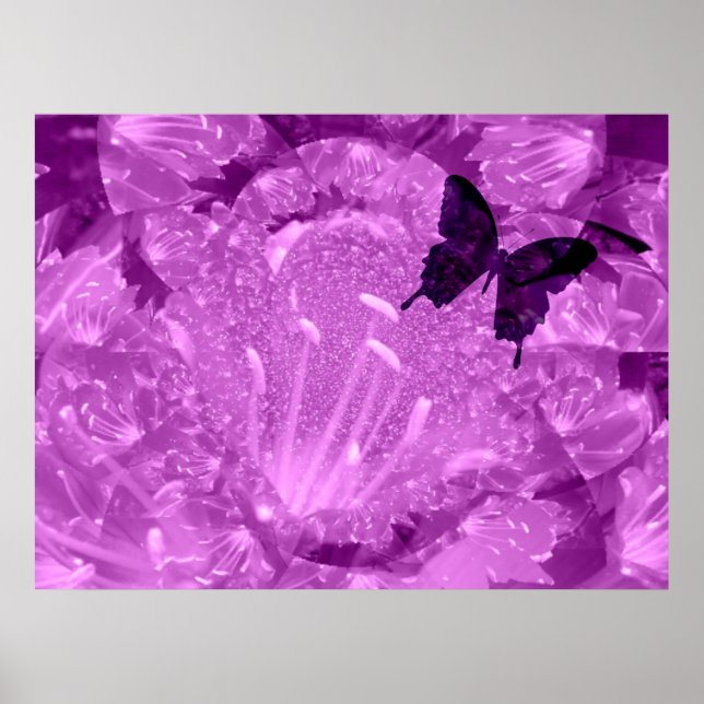 Poster des ailes violettes (Devant)