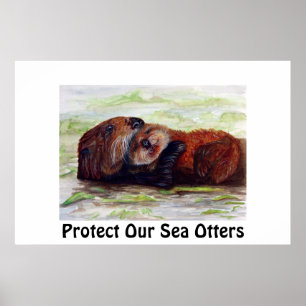 Poster des Amis de la Loupe de mer