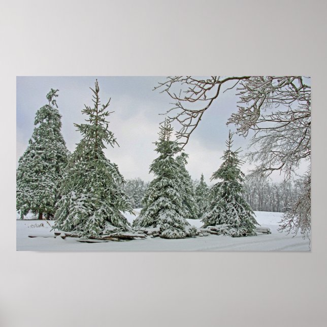 Poster des arbres couverts de neige (Devant)