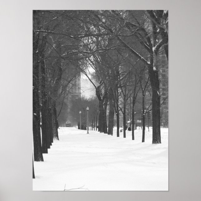 Poster des arbres dans la neige (Devant)