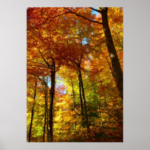 Poster des arbres d'automne