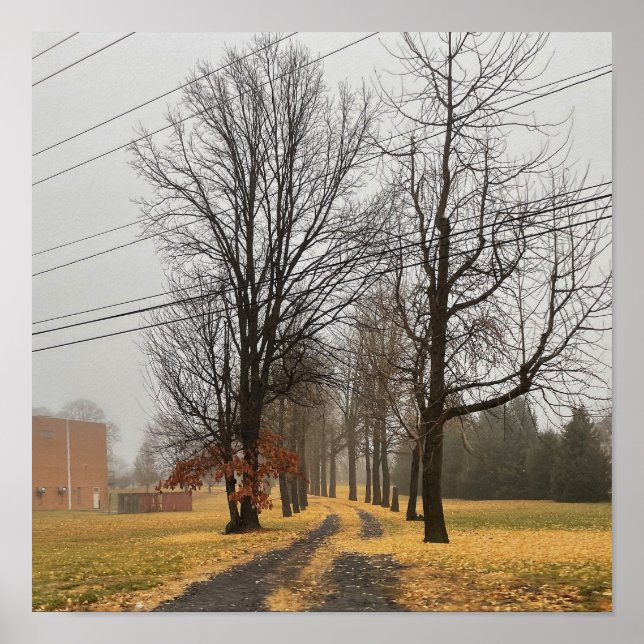 Poster des arbres d'automne (Devant)