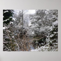 Poster des arbres neigeux
