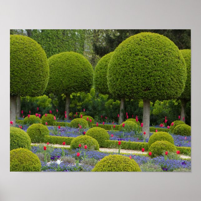 Poster des arbres sculptés (Devant)