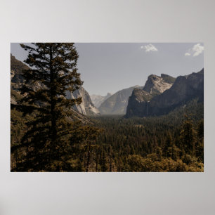 POSTER DES ARBRES VERTS PRÈS DE LA MONTAGNE EN JOURNÉE