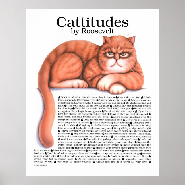 Poster des attitudes (Devant)