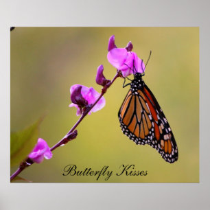 Poster des Baisers à papillon