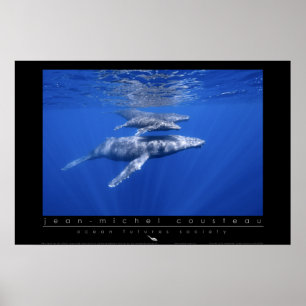 Poster des baleines à bosse